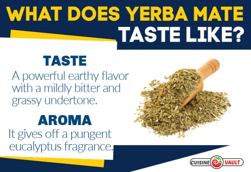 Infographic describing the taste of yerba mate