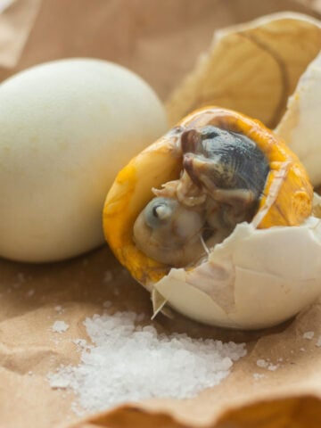 open balut egg with duck fetus