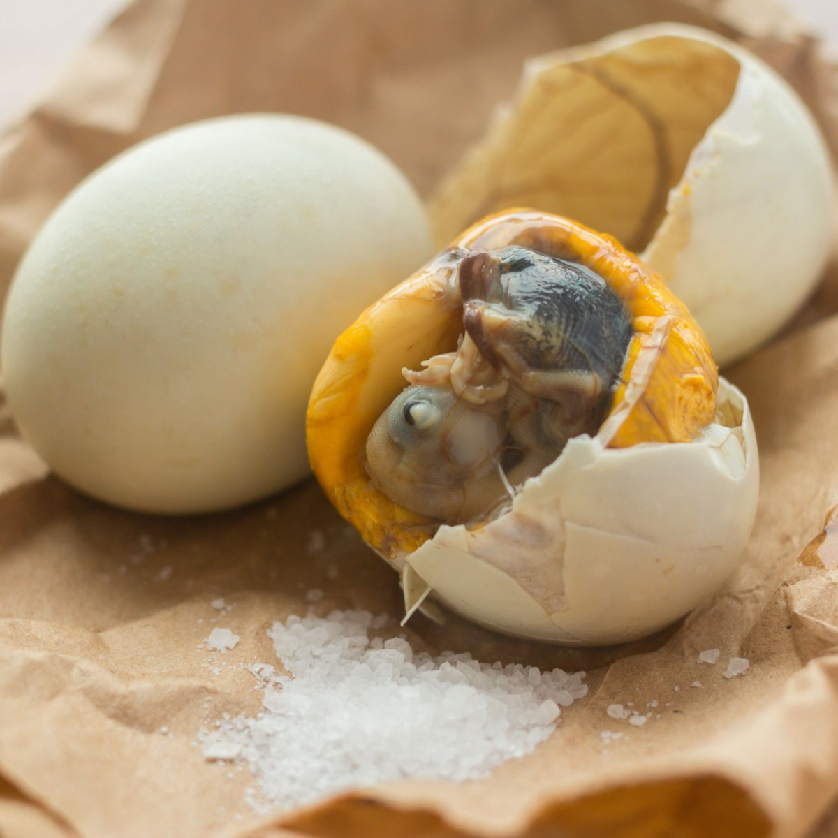 open balut egg with duck fetus