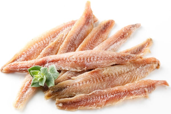 Anchovy fillets on a white background