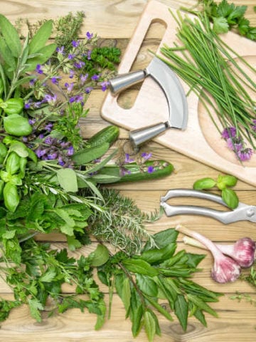 Cooking With Fresh Herbs – An Ultimate Guide