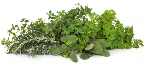 Various fresh herbs in a bunch