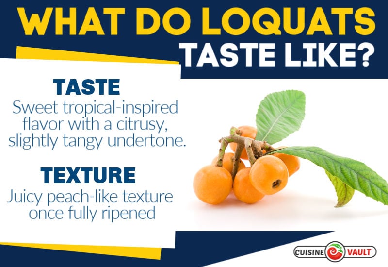 What do loquats taste like infographic