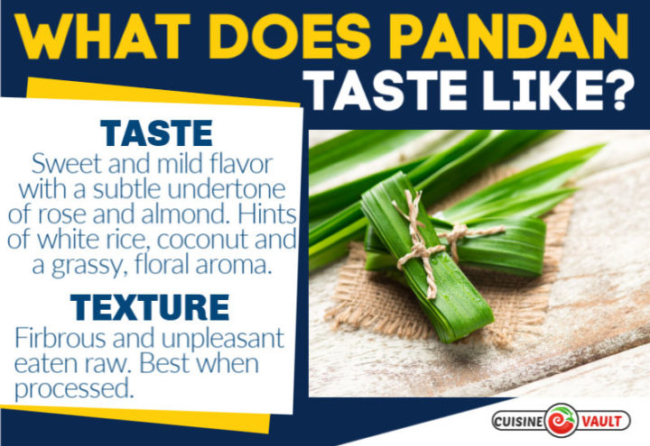 what-does-pandan-taste-like-appearance-and-cooking-simple30