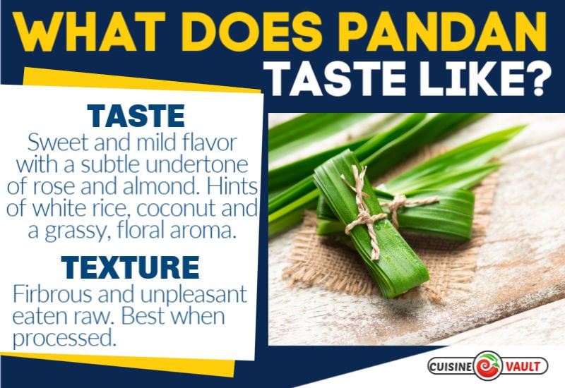 An infographic describing the taste of pandan