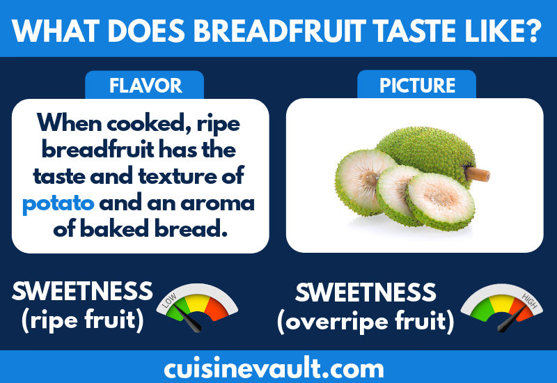 Breadfruit flavor and texture infographic