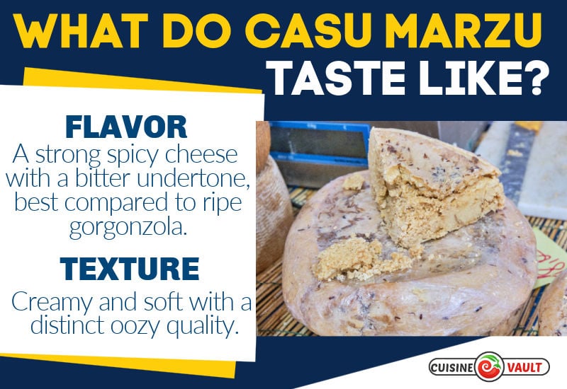 Infographic about casu marzu taste