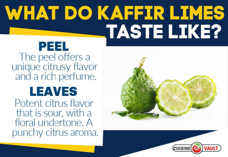 Kaffir lime taste infographic