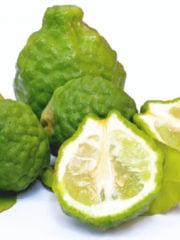 Kaffir Lime Taste Guide – Fruit & Leaves