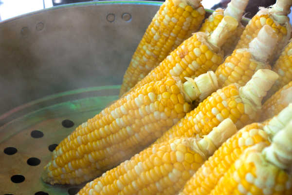 Cobs steaming in a pot