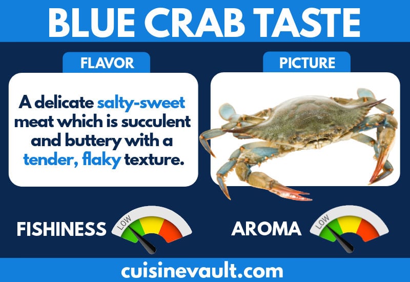 Blue crab taste infographic