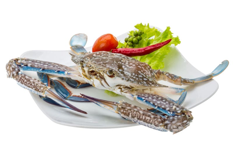 Whole blue crab on a plate