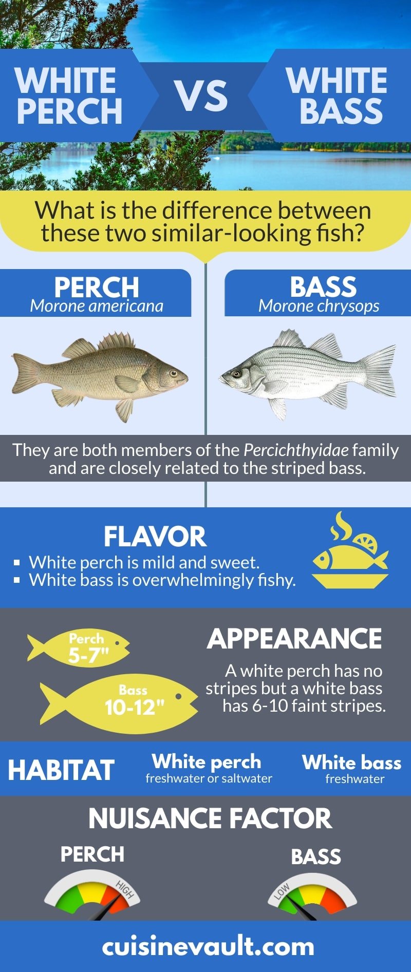 White Perch Vs White Bass Infographic