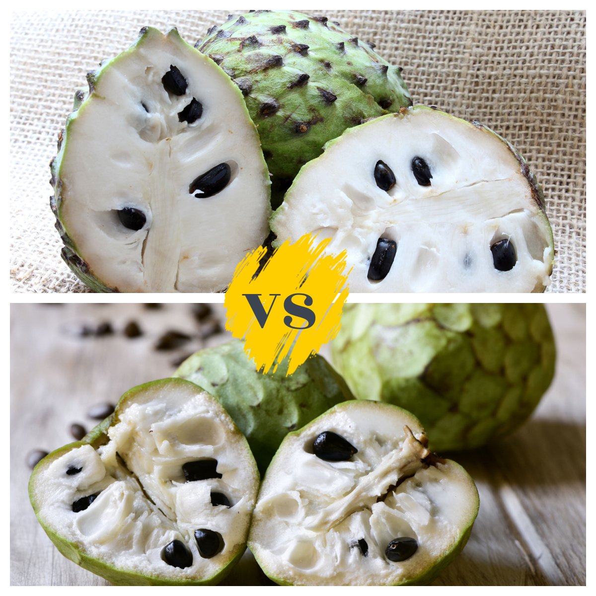 atemoya versus cherimoya