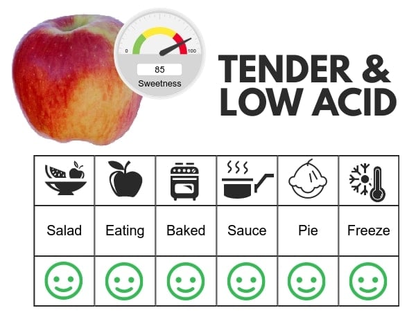 Ambrosia flavor profile