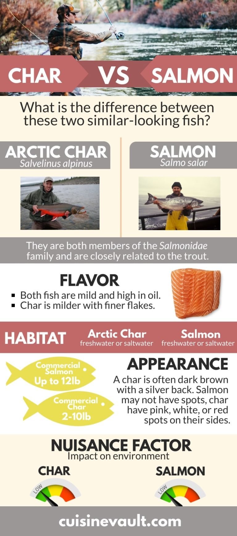 Arctic Char Vs. Salmon Beginner's Guide