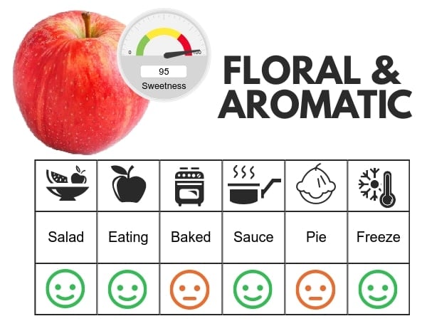 Gala flavor profile