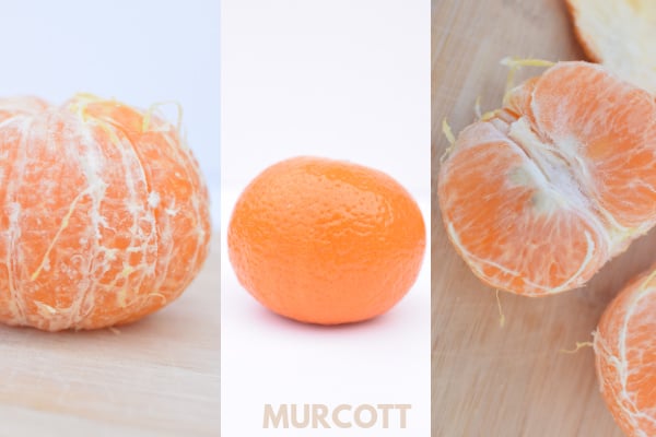 Murcott mandarin peeled and without skin on
