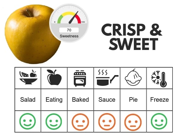 Opal flavor profile