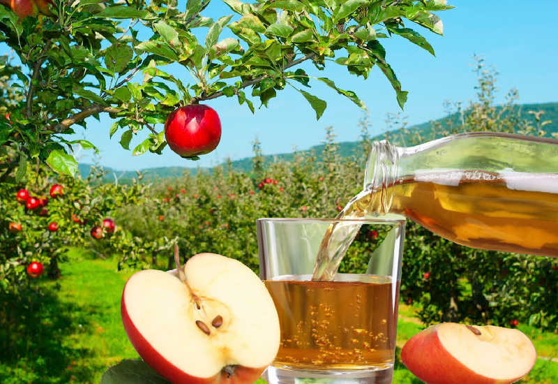 Pouring fresh apple juice with an orchard in the background