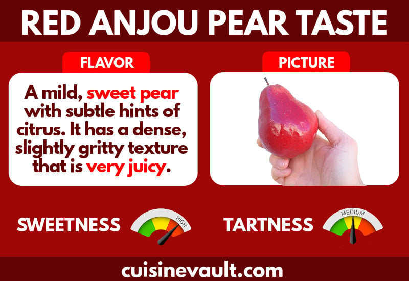 Infographic describing the flavor of Red Anjou pear