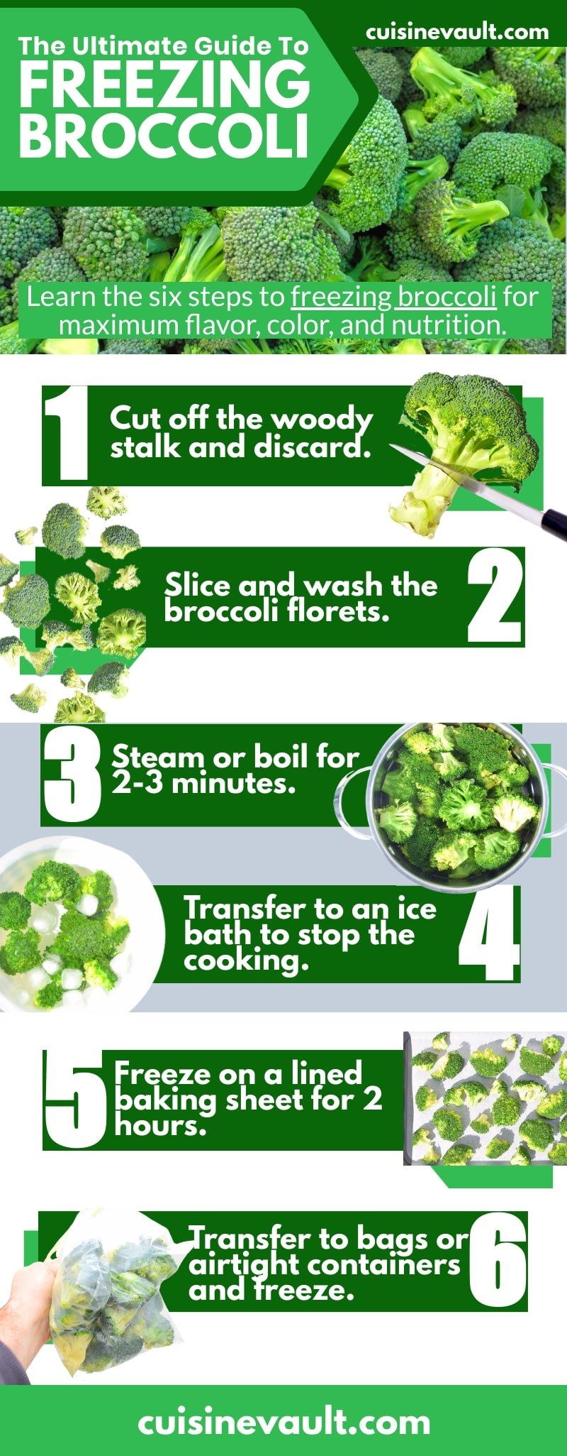 Steps to freeze broccoli infographic