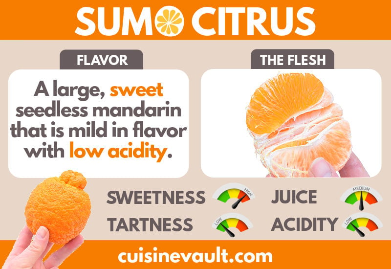 Sumo Citrus Taste Infographic