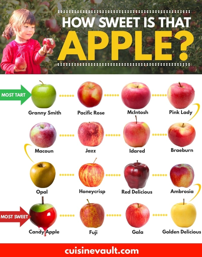 What Are the Sweetest Apples? (Ranked from Tart to Sweet)