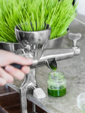 We're Doin' Shots! The 5 Best Wheatgrass Juicers Today