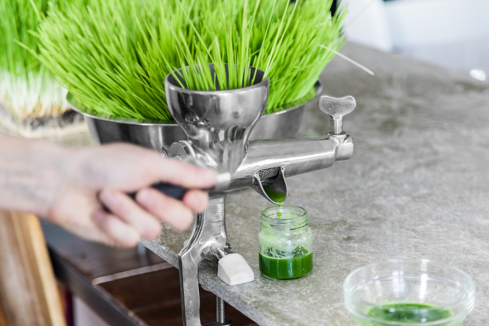 HBS review of the best wheatgrass juicers