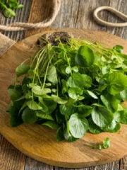 The 10 Best Watercress Substitutes In Cooking