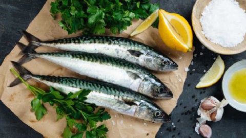 Fresh mackerels on paper next to fresh herbs