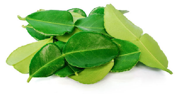 A pile of kaffir lime leaves on a white background