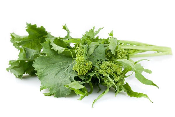 Broccoli Raab