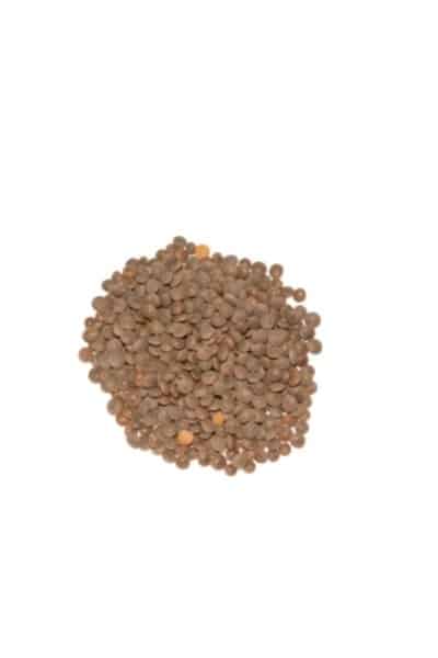 Brown Lentils