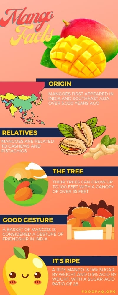 Mango Infographic