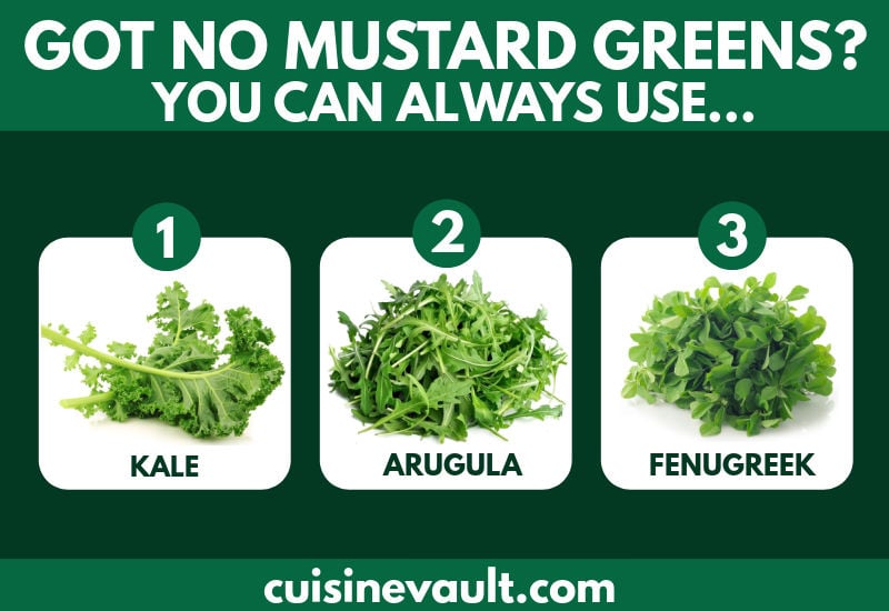 Mustard greens substitute infographic