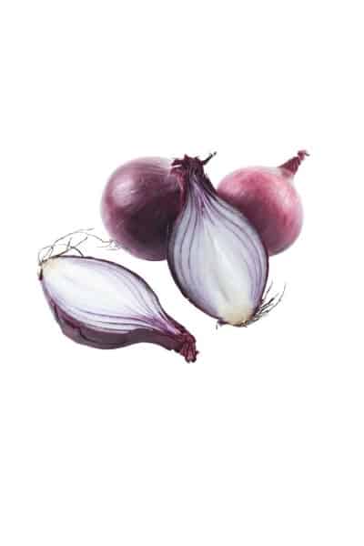 Spanish Onion