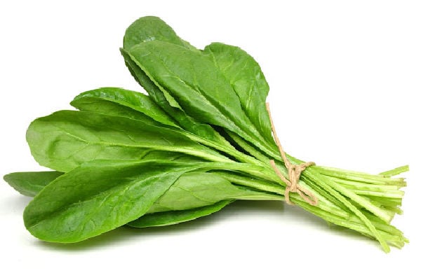 Spinach leaves tied into a bunch with twine