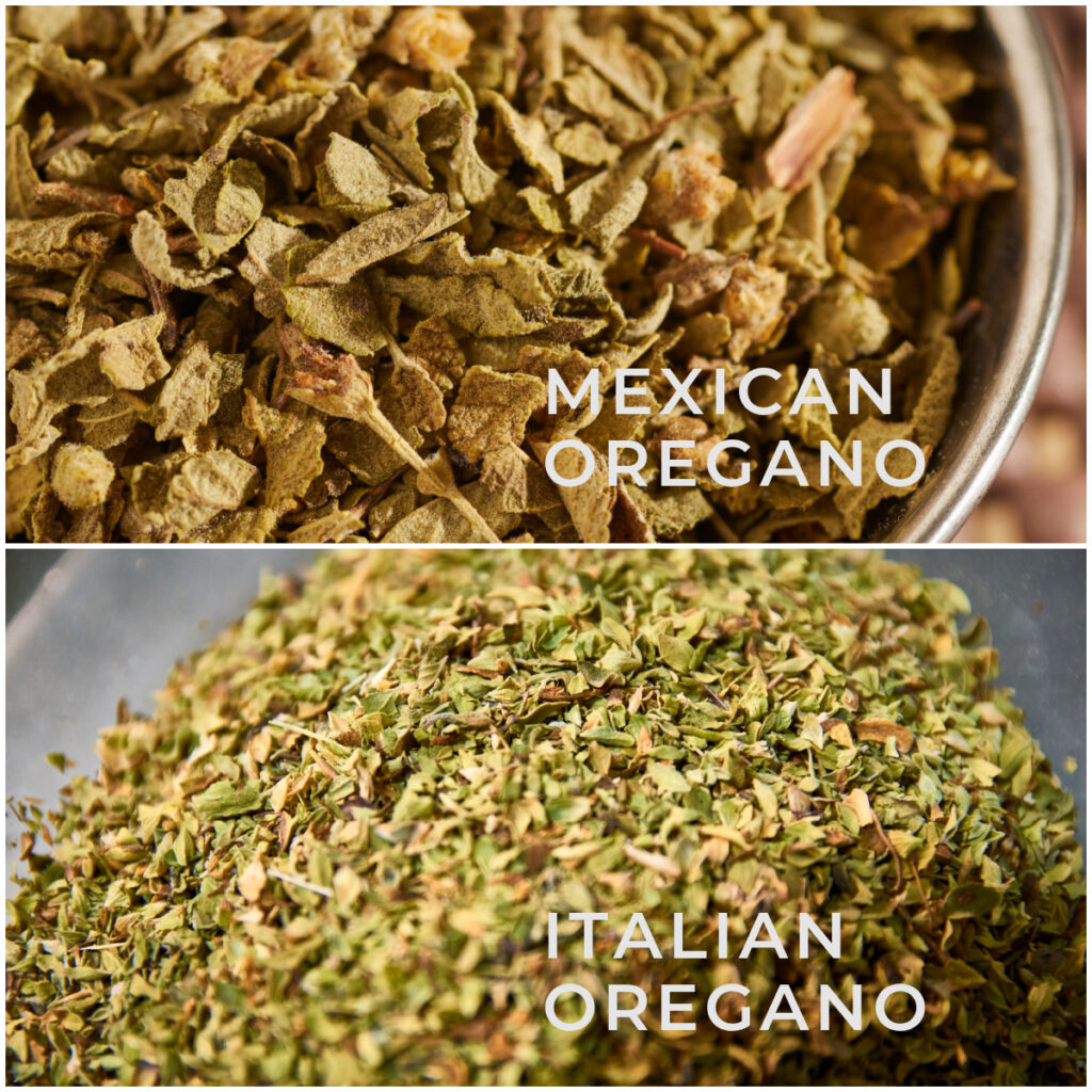 Mexican Oregano Vs Italian Oregano