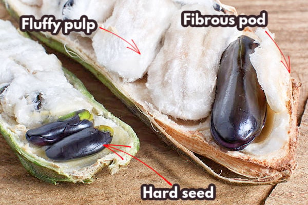 The parts of an ice cream bean