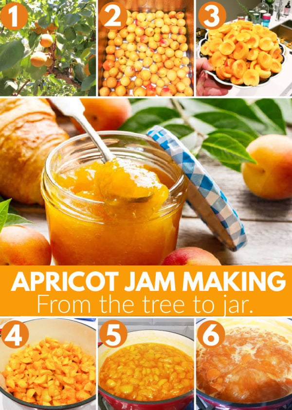 Apricon jam making steps