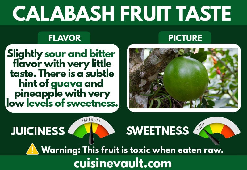 Calabasg fruit taste infographic