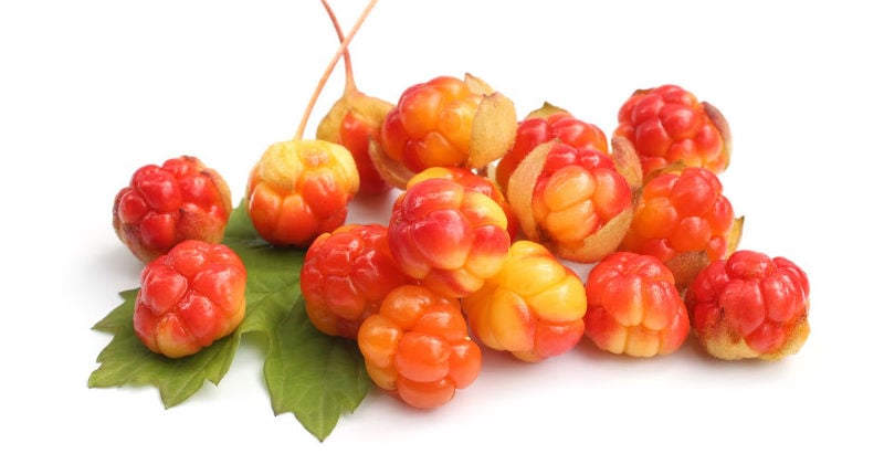 A pile of fresh cloudberries on a white background