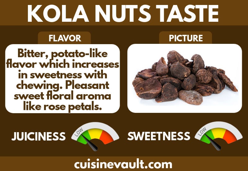 Kola nuts taste infographic