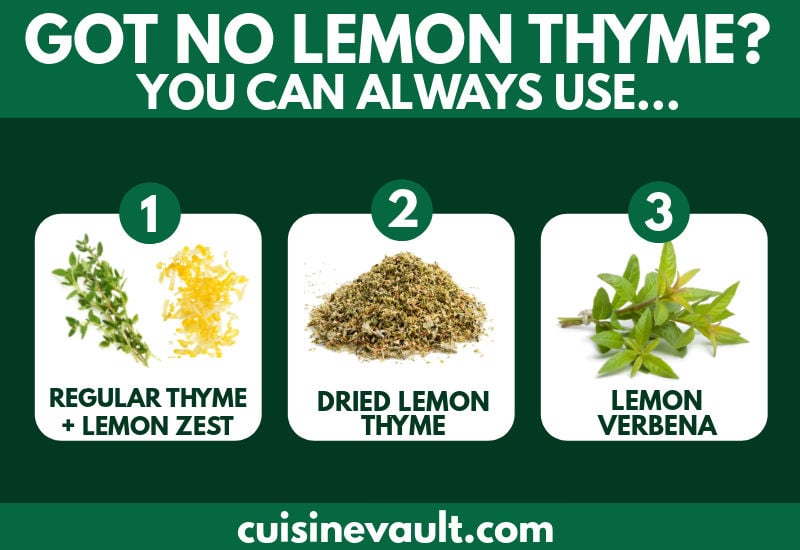 Lemon thyme substitute infographic