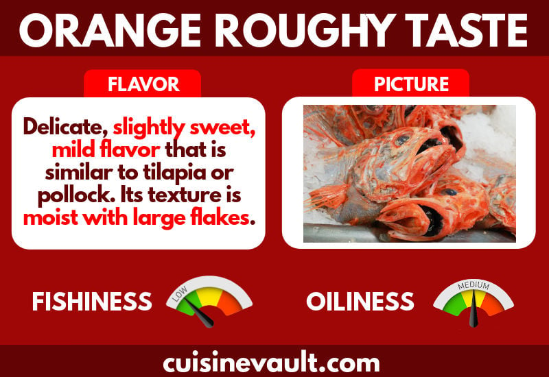 Orange roughy flavor infographic