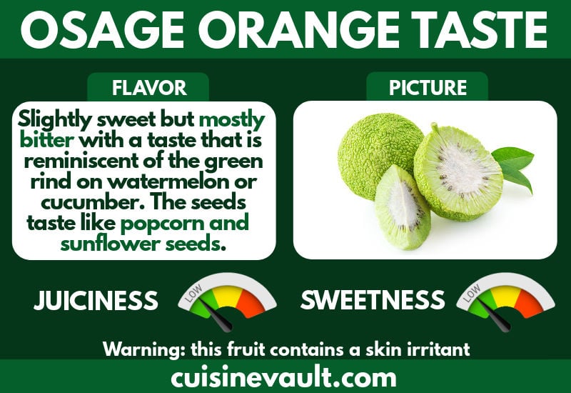 Osage Orange Taste