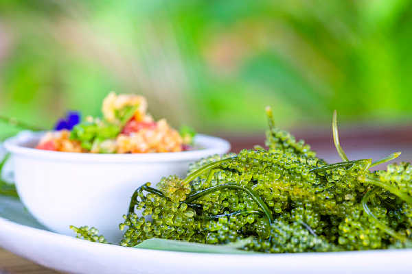 Sea grapes served as a side dish on a plate