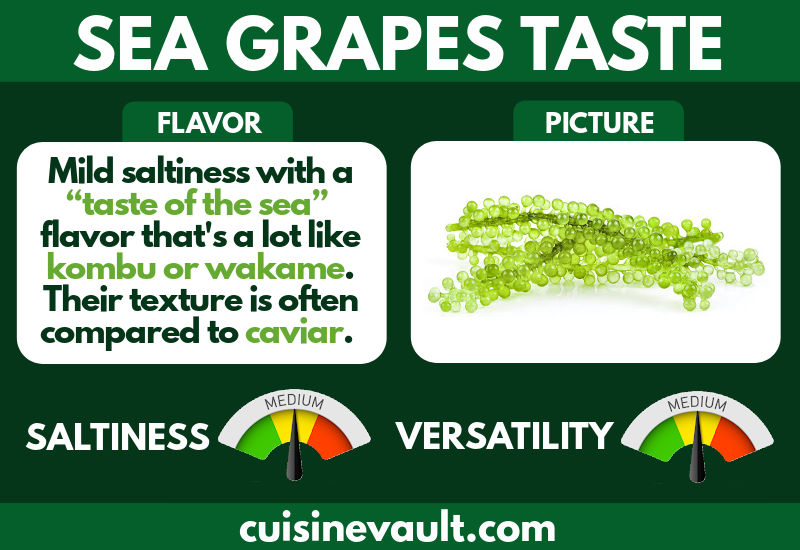 Sea grapes taste infographic